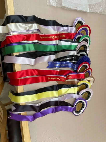 Photo of free Ribbon contained in old rosettes (Steyning BN44) #1