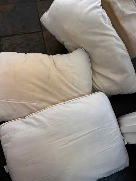 Photo of free Old pillows (Downtown Sunnyvale) #2