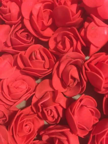 Photo of free Brand New Foam, Pretty, Red Roses (Liverpool L6) #1