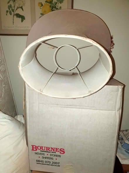 Photo of free Pink Silk Shade, Large (Chilcompton) #2