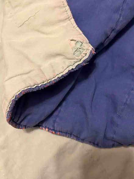 Photo of free Lightweight reversible quilt (Hintonburg) #3