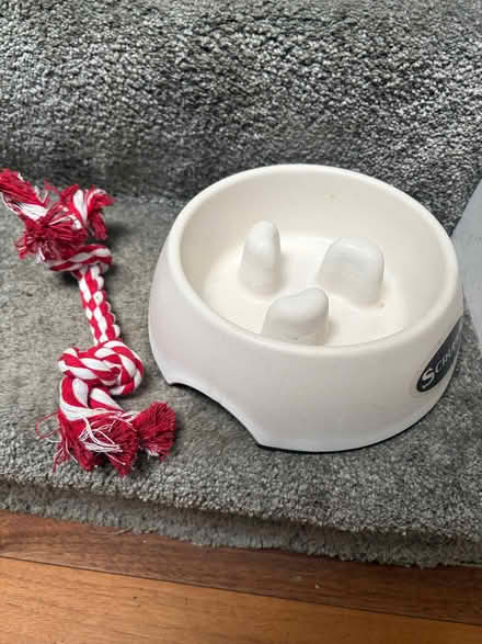 Photo of free Dog Slow eating bowl (Benton NE12) #1