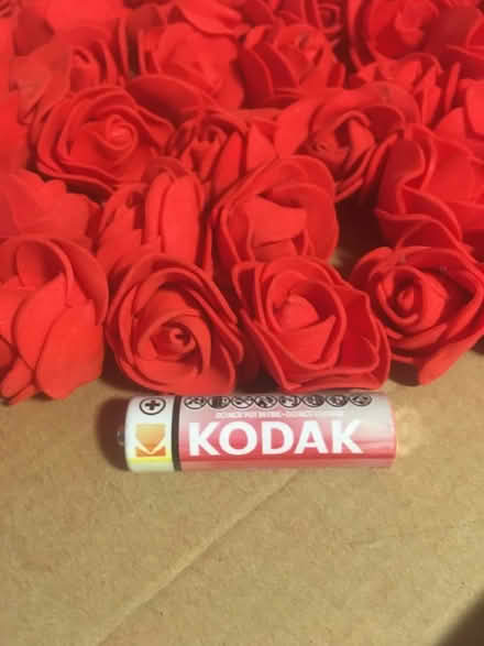 Photo of free Brand New Foam, Pretty, Red Roses (Liverpool L6) #4