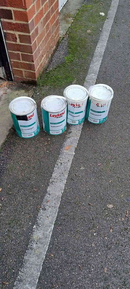 Photo of free White satin paint (St Leonards TN38) #1