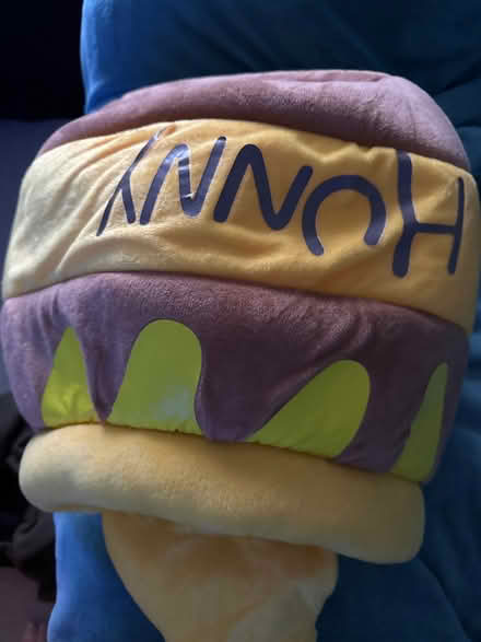 Photo of free Cute kitten or small cat bed (Hook KT6) #2