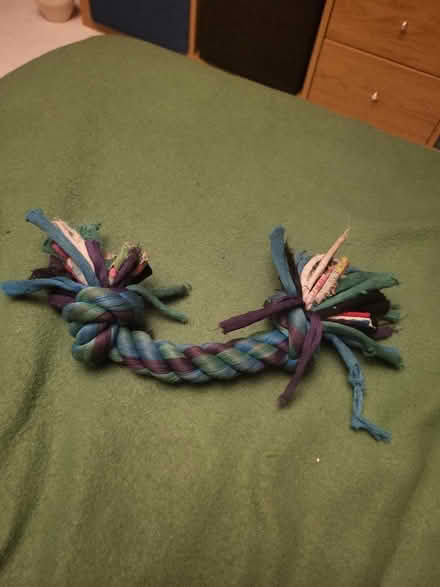 Photo of free Small dog tug toy (West Croydon CR0) #2