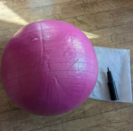 Photo of free Pink gym ball (Hove Green BN3) #3