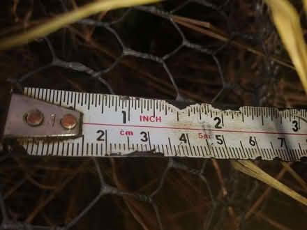 Photo of Wire netting (Sea Palling NR12) #1