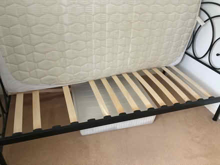Photo of free Single bed (Herefordshire HR2) #2