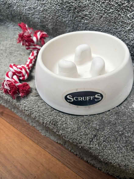 Photo of free Dog Slow eating bowl (Benton NE12) #2