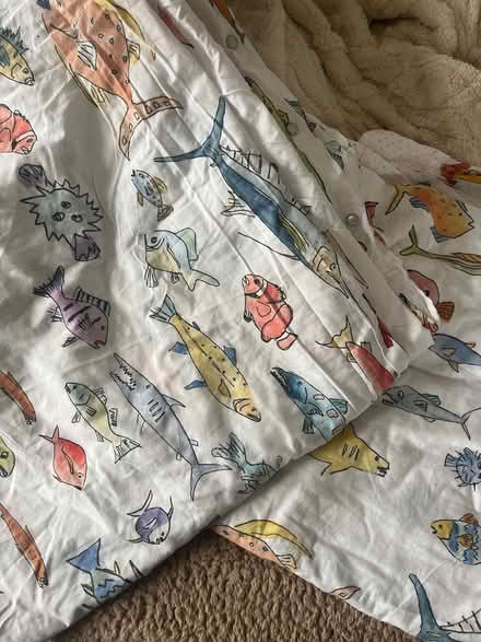 Photo of free Two single duvets (Battersea SW11) #1