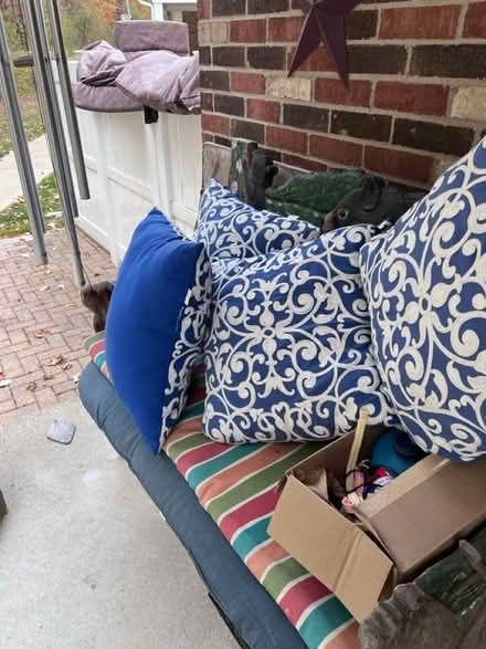 Photo of free 4 Pillows (8 Mile & Meadowbrook) #2
