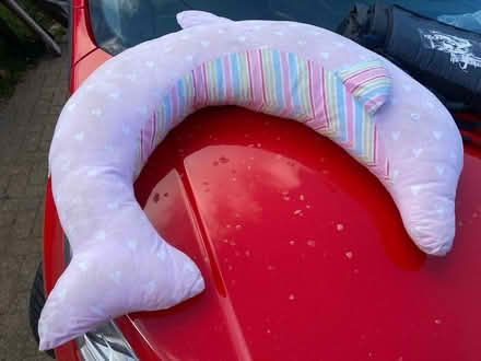 Photo of free Nursing pillow (Harpenden AL5) #1