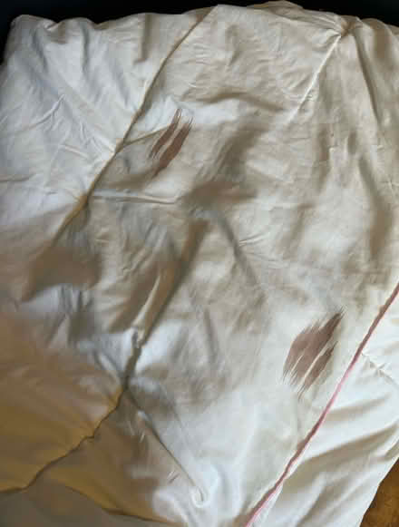 Photo of free Single 12 Tog Duvet (Kings Heath B14) #2