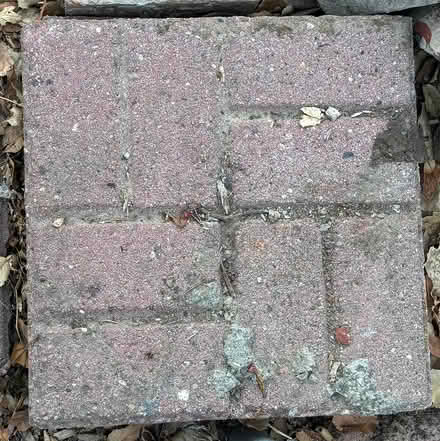 Photo of free Stepping stones (Old Mountain View) #1