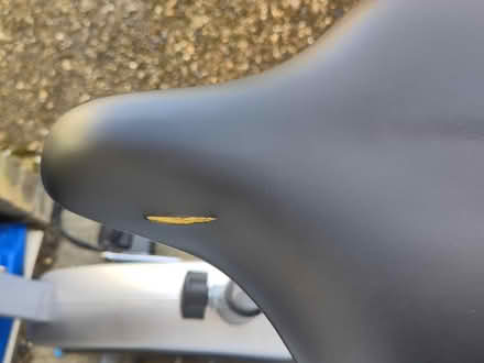 Photo of free Exercise bike (Stondon Massey CM15) #3