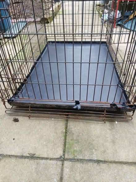 Photo of free Large Dog Cage (Halewood L26) #2