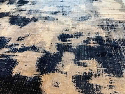 Photo of free Large Area Rug (Hawk’s Prairie) #1