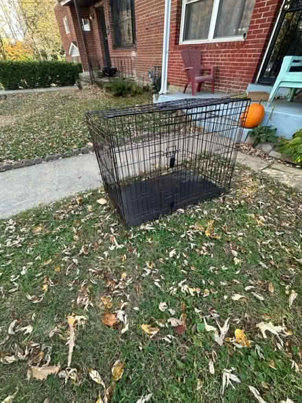 Photo of free Dog Kennel (Upper Brookland) #1