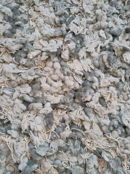 Photo of free Duck egg/ white textured rug (Berkhamsted HP4) #1