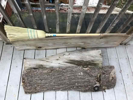 Photo of free White Pine Slabs (Upper Beach) #1