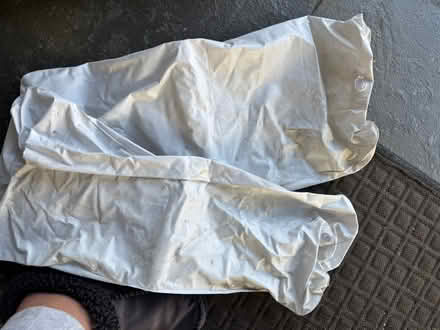 Photo of free Inflatable pillows (Woodridge) #1