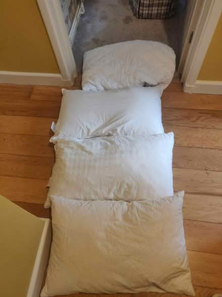 Photo of free 4 pillows (Liphook GU30) #1