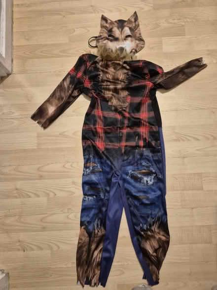 Photo of free Halloween wolf costume (Prestwood HP16) #1