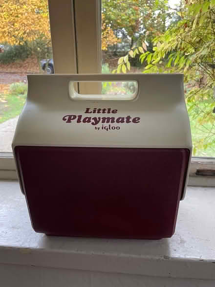 Photo of free Small Cooler (Wallingford) #1