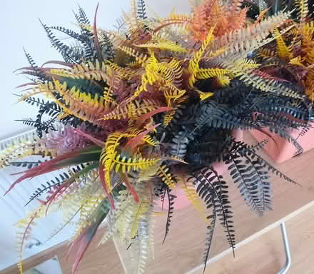 Photo of free 2 pots full of artificial ferns (Stirling FK8) #3