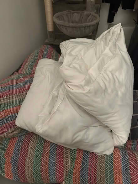Photo of free Double 13.5 tog duvet (Far Cotton, Northampton) #1