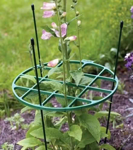 Photo of Plant supports, any size (BH25 New Milton) #1