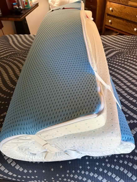 Photo of free Mattress topper (Montclair) #3