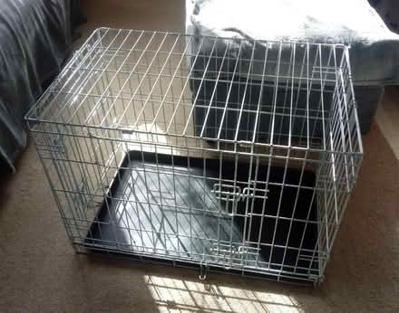 Photo of free Medium dog crate (Horsham, Nr Forest School) #1