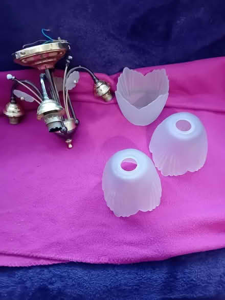 Photo of free 3 bulb light fitting frosted shades (Chapel Allerton LS7) #1