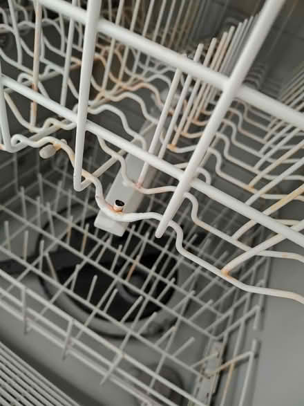 Photo of free Dishwasher (Jersey Village) #3