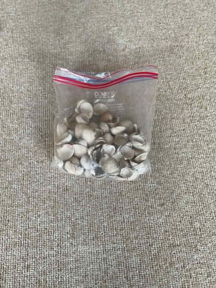 Photo of free Cockle shells (Leckhampton GL53) #1