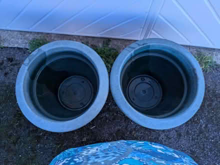 Photo of free Large Plant Pot x2 (Wallington PO16) #2