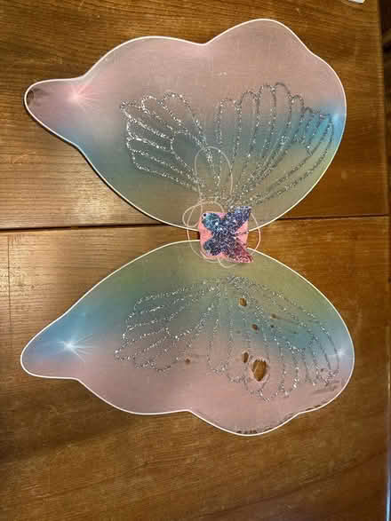 Photo of free Dress up fairy wings (EH4 Craigleith) #1