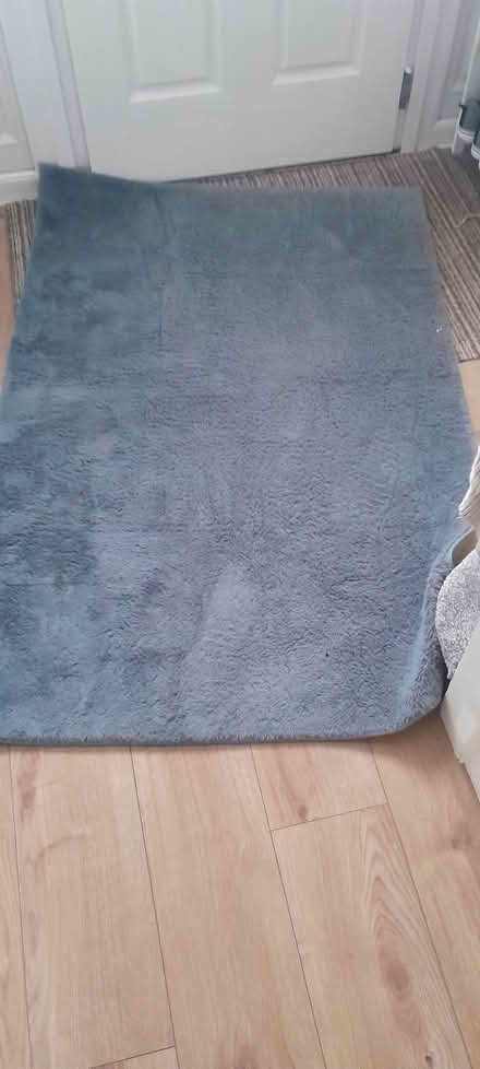 Photo of free Rug (North Hinksey OX2) #1