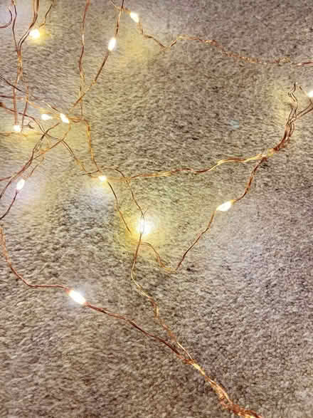 Photo of free Long string of warm white USB fairy lights on a copper wire (Hertford Heath SG13) #2