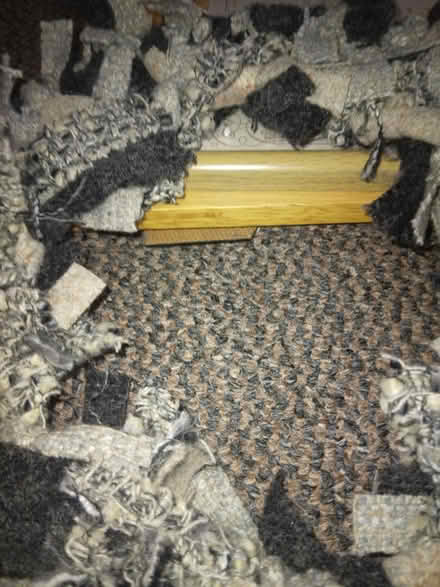 Photo of free Wreath (Kirkstall LS5) #1