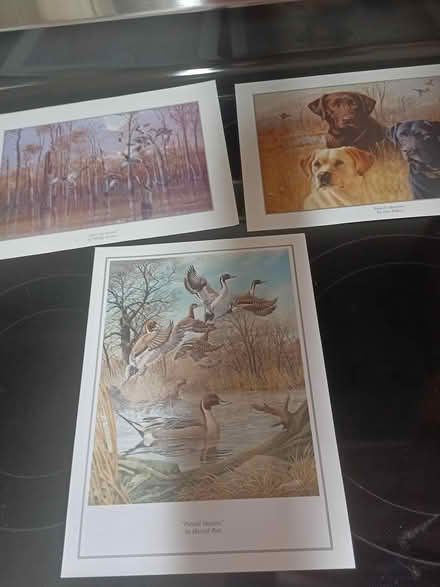 Photo of free Ducks Unlimited prints (Largo near Ulmerton & Starkey) #1