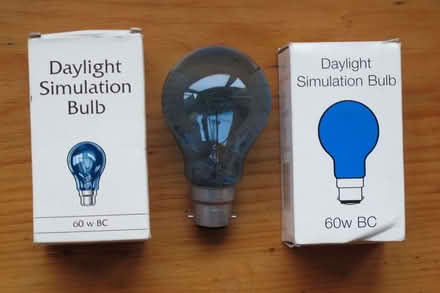 Photo of free Daylight simulation bulbs (Kendal LA9) #1