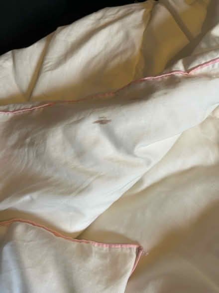 Photo of free Single 12 Tog Duvet (Kings Heath B14) #3