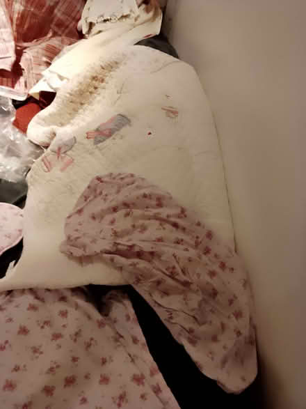 Photo of free Cot bedding (North Ascot SL5) #1