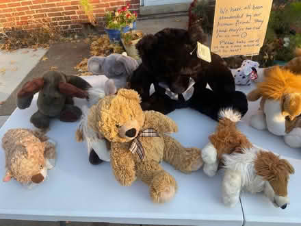 Photo of free Clean well-kept stuffed animals (Frederick, MD) #2