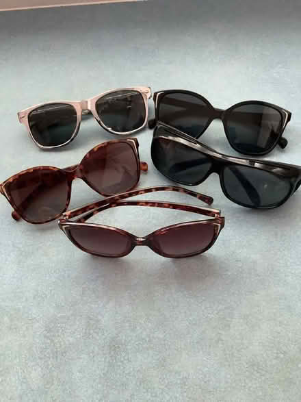 Photo of free Sunnies (Malvern Link WR14) #1