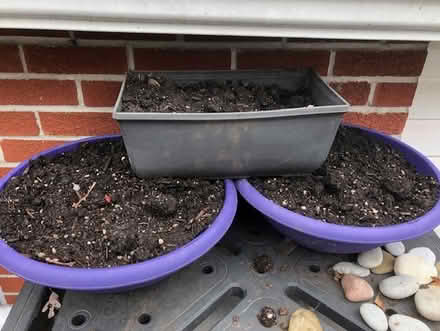 Photo of free rich soil (Upper Beach) #2