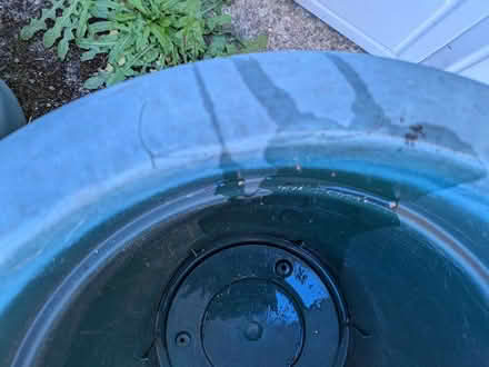 Photo of free Large Plant Pot x2 (Wallington PO16) #3